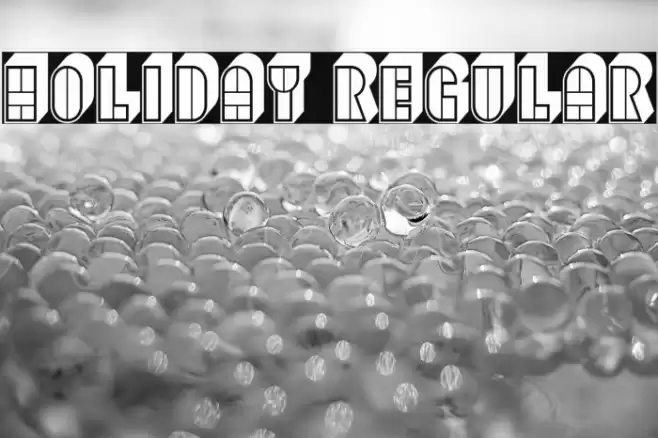 Holiday Regular Font examples