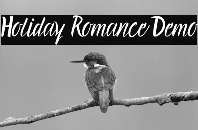 Holiday Romance Demo Font examples