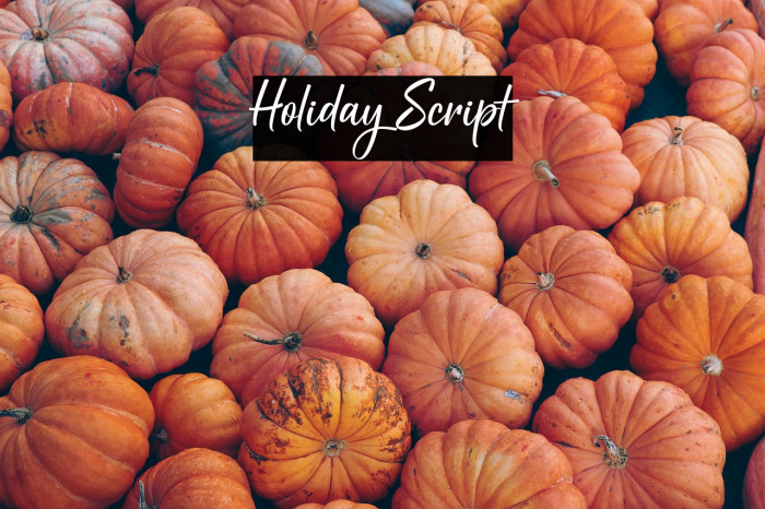 Holiday Script Example 1