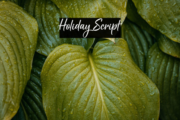 Holiday Script Example 2