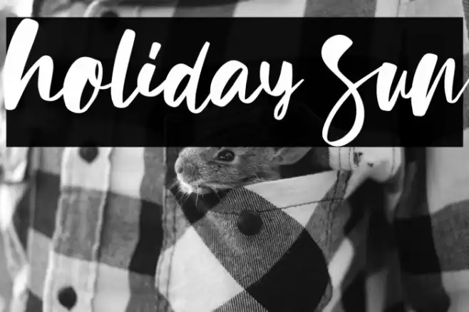 Holiday Sun Font examples
