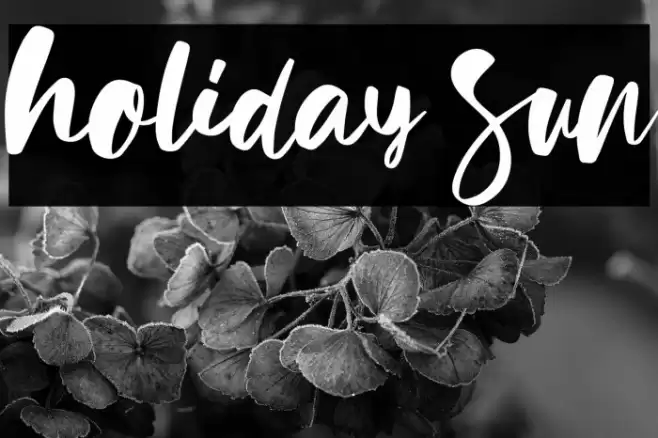 Holiday Sun Font examples