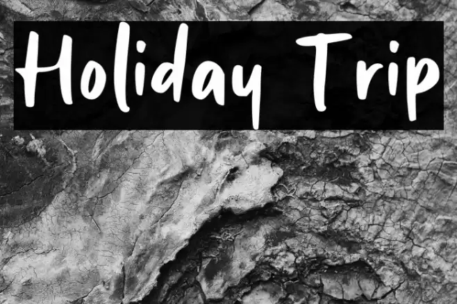 Holiday Trip Font examples