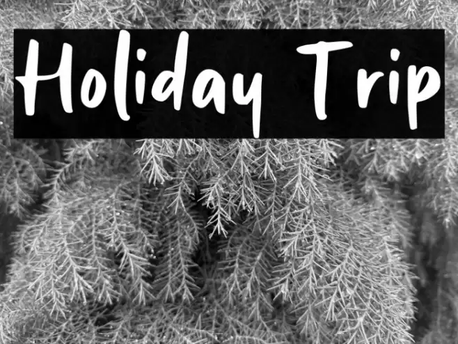 Holiday Trip Font examples