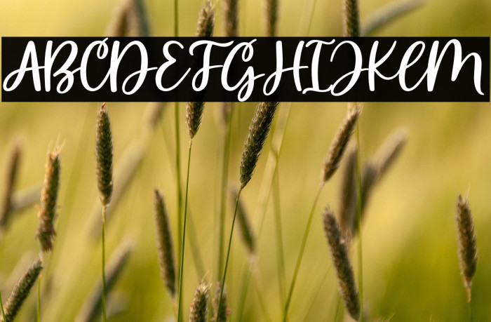 Holiday Wishes Example 1