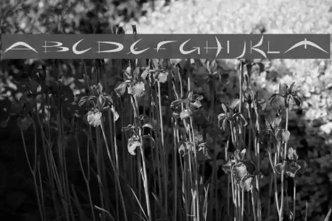 Holiday hardcore Font examples