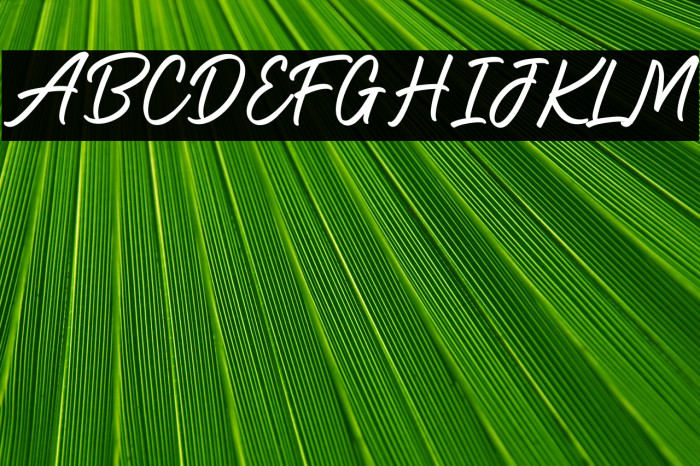 Holiday2 Regular Example 3