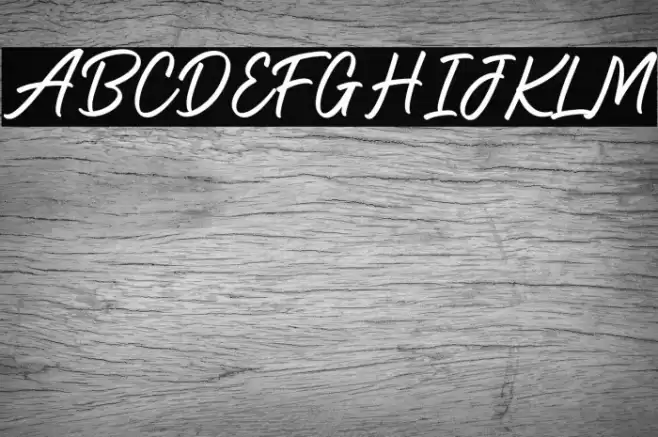 Holiday2 Regular Font examples