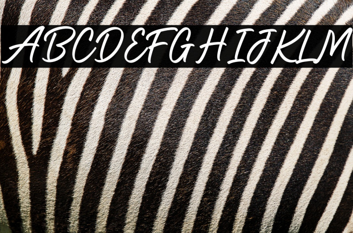 Holiday2 Regular Example 2