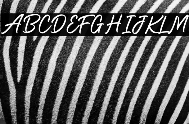 Holiday2 Regular Font examples