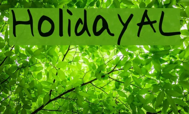 HolidayAL Example 3