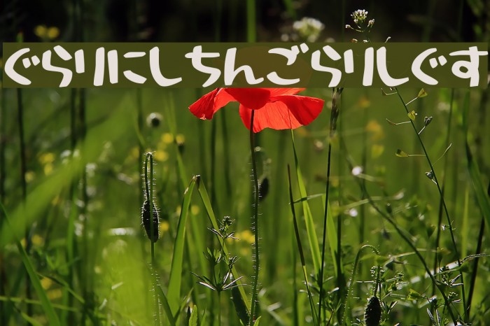 HolidayBoldHr Example 3