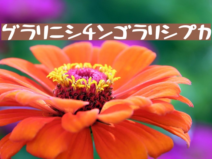 HolidayBoldKt Example 1