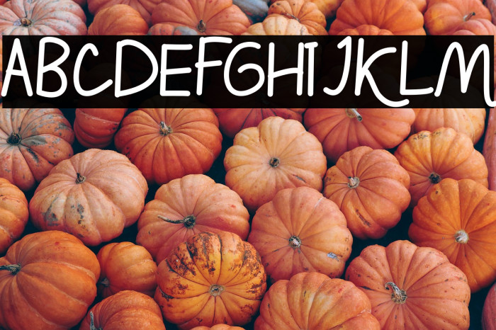 HolidayFunday Example 1