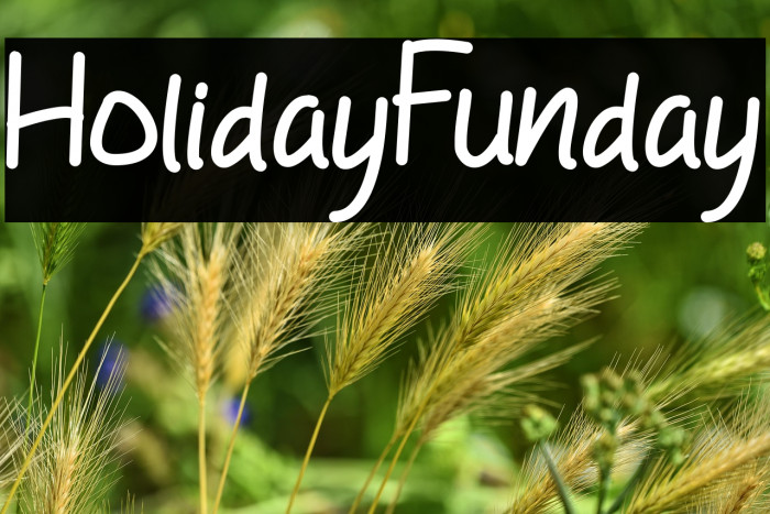 HolidayFunday Example 1