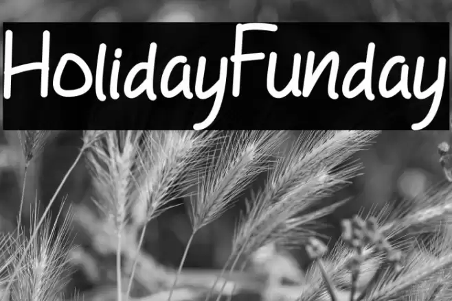HolidayFunday Font examples