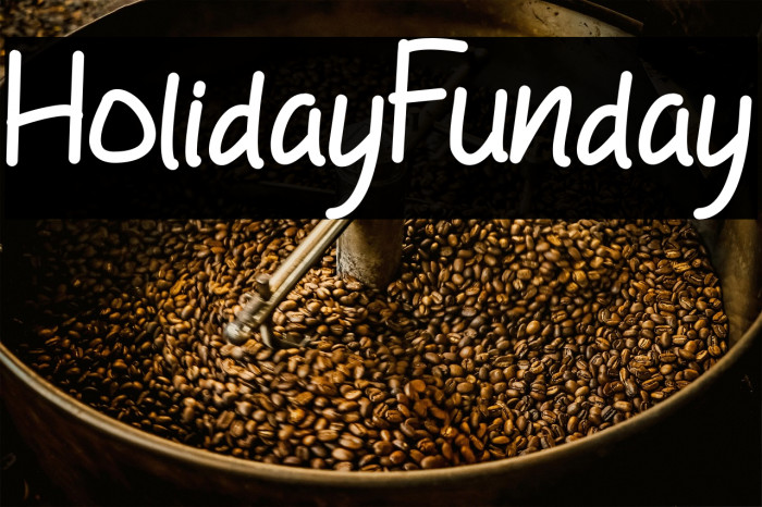 HolidayFunday Example 2