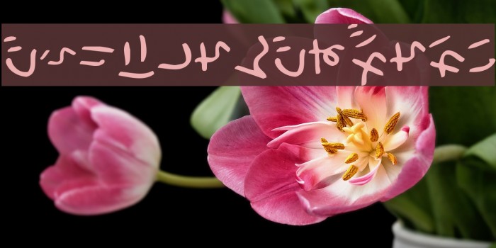 HolidayHrTate Example 1