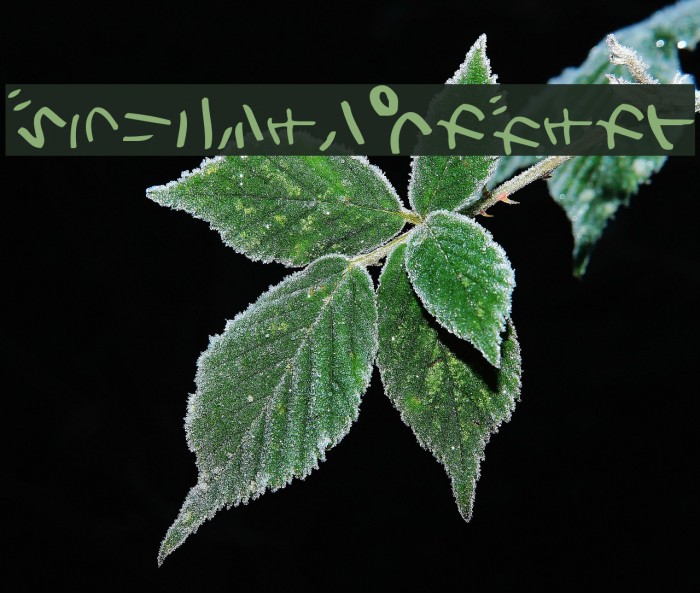 HolidayKtTate Example 1