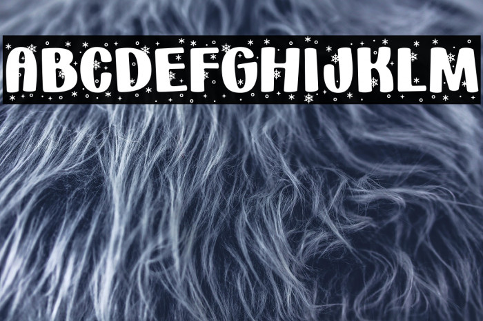 HolidaySnowflakes-Regular Example 1