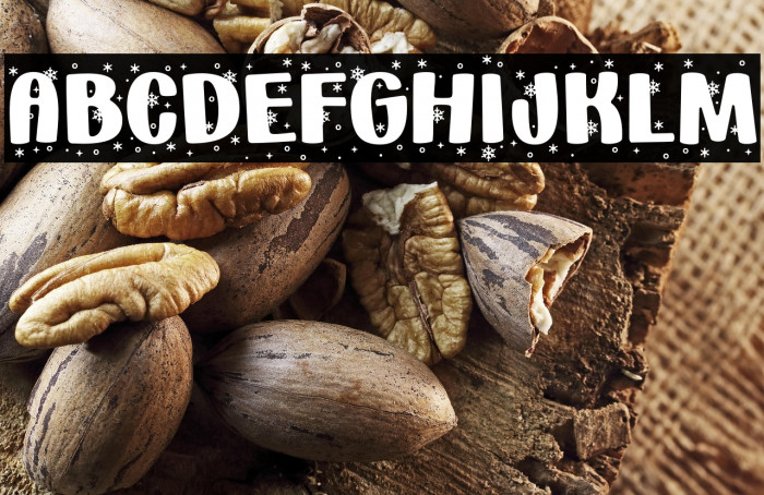 HolidaySnowflakes-Regular Example 2