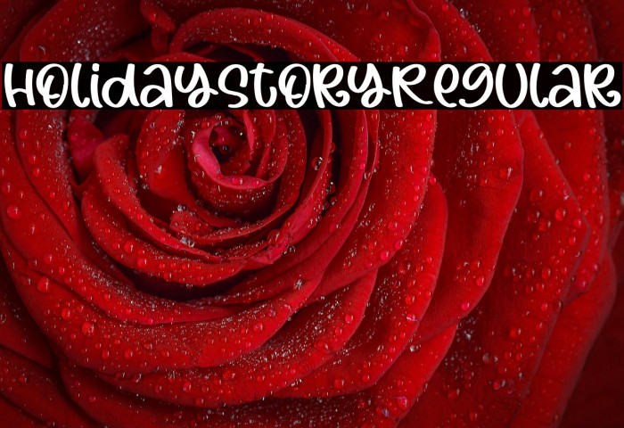 HolidayStoryRegular Example 3