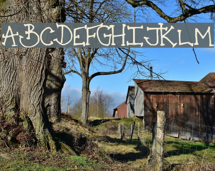 Holiday_Serif Polices examples