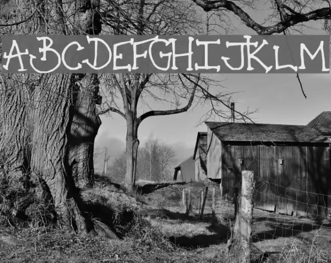 Holiday_Serif Polices examples