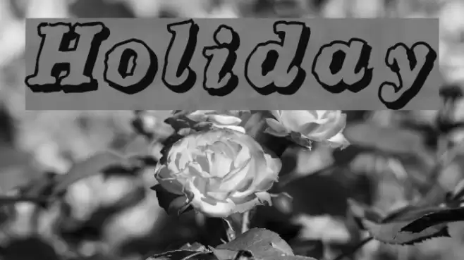 Holiday Font examples