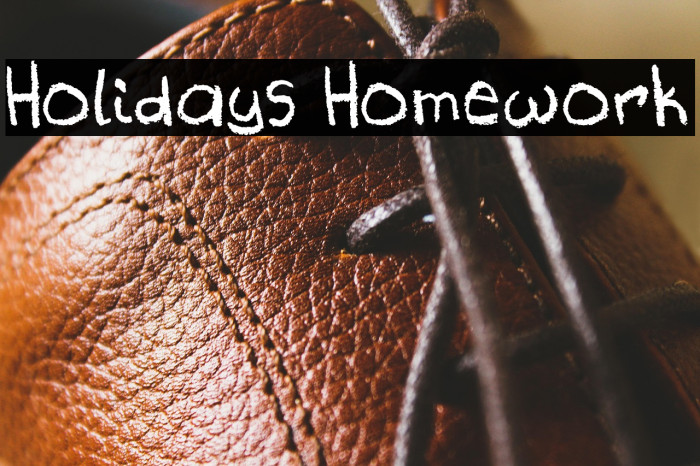 Holidays Homework Example 1