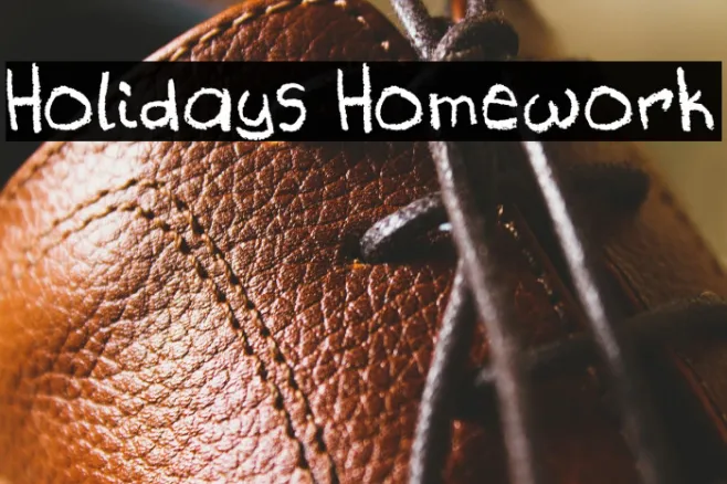 Holidays Homework Example 1