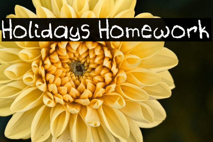 Holidays Homework Example 2