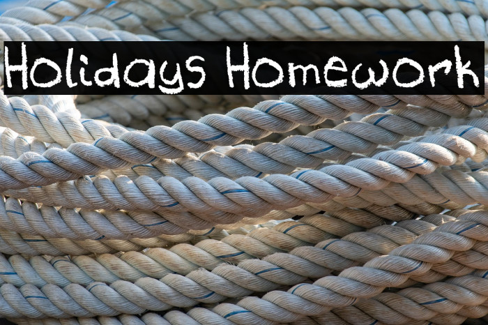 Holidays Homework Example 3