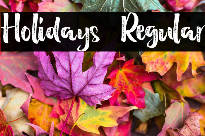 Holidays  Regular Example 1