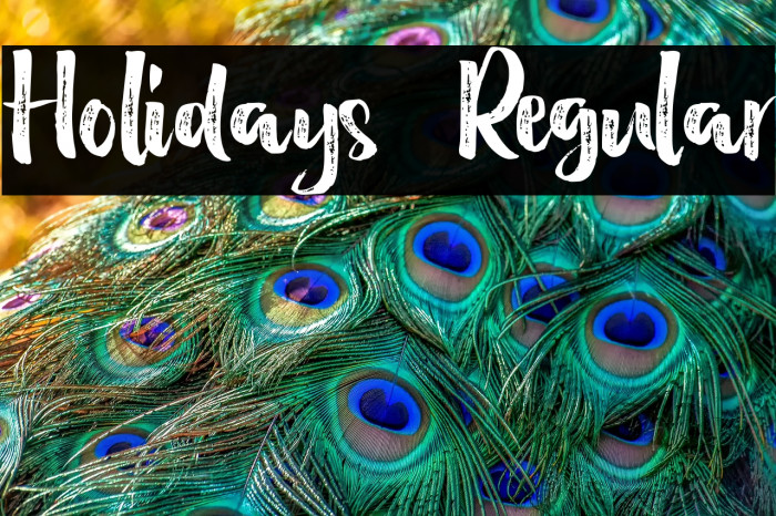 Holidays  Regular Example 2