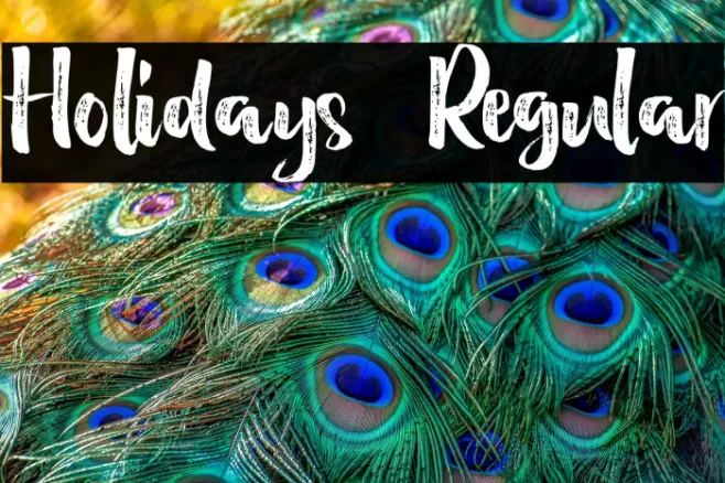 Holidays  Regular Example 2