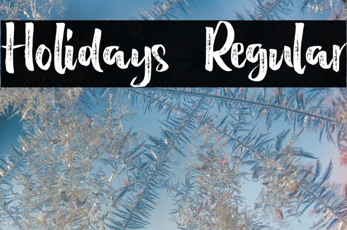 Holidays  Regular Example 3