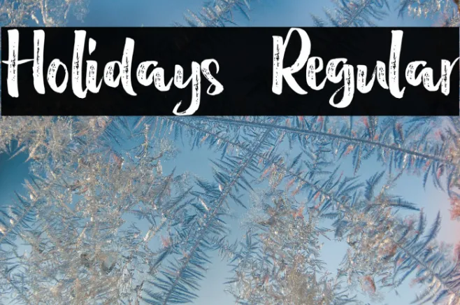 Holidays  Regular Example 3