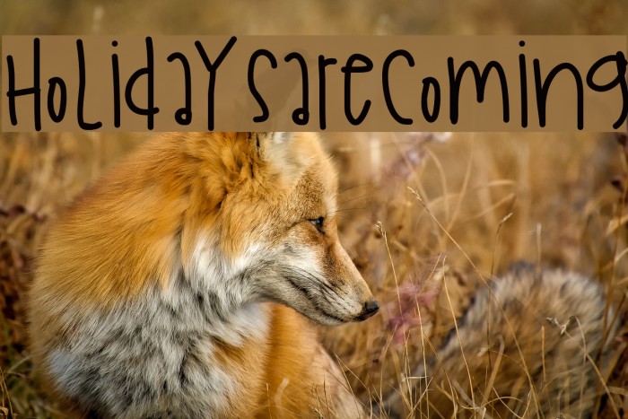 HolidaysAreComing Example 1