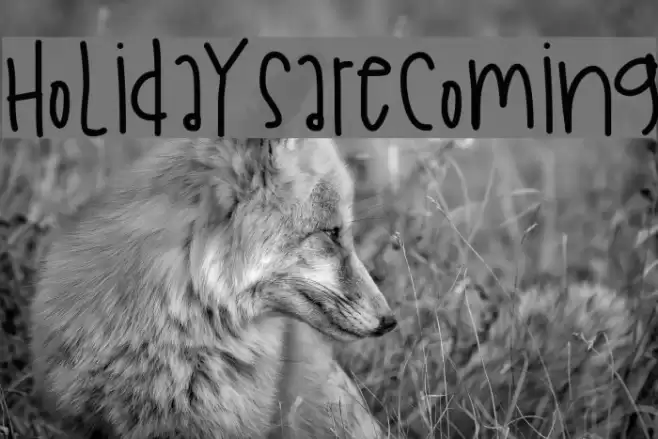 HolidaysAreComing Font examples