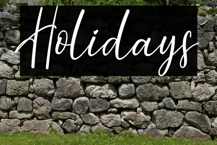 Holidays Example 2