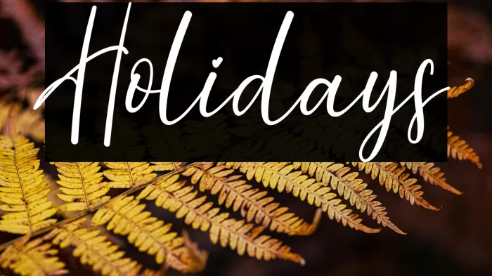 Holidays Example 3