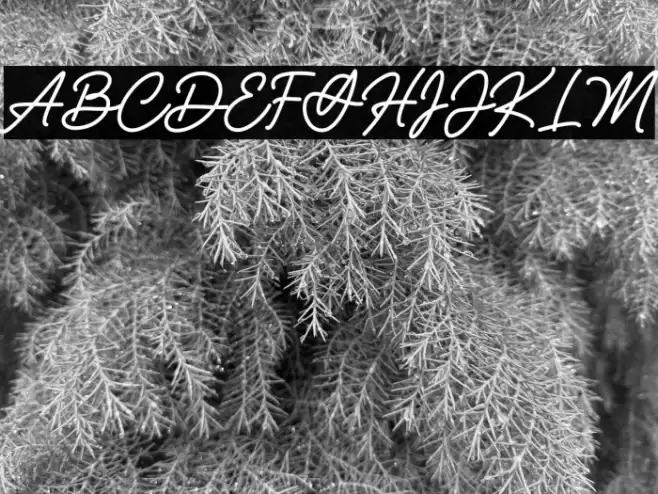 Holidream Font examples