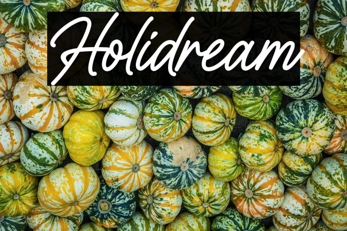 Holidream Example 1