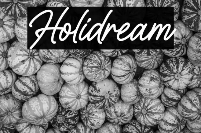 Holidream Font examples