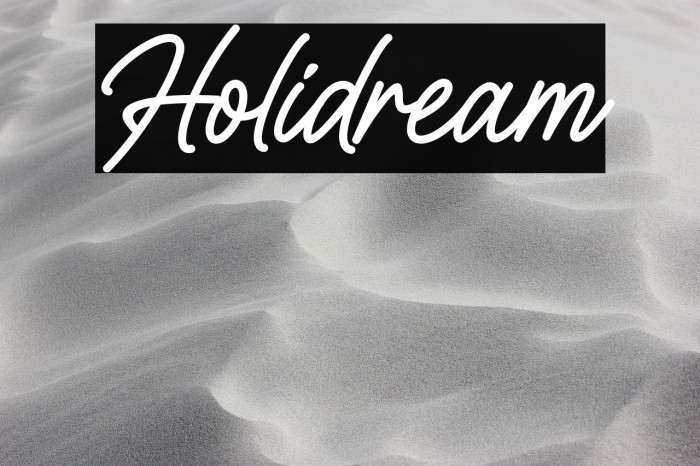 Holidream Example 2