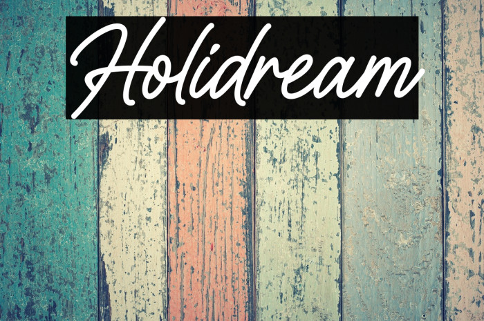Holidream Example 3