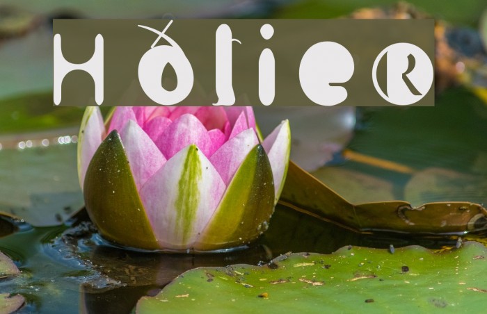 Holier Font examples
