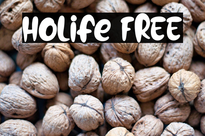 Holife FREE Example 1