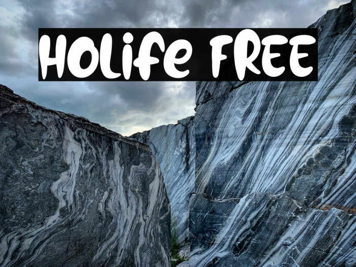 Holife FREE Example 2